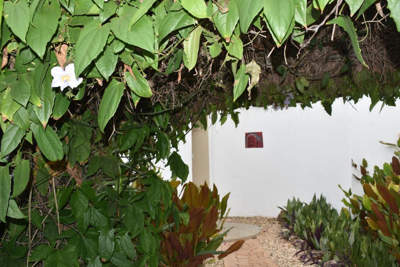 Kendwa Beach Resort Extérieur photo