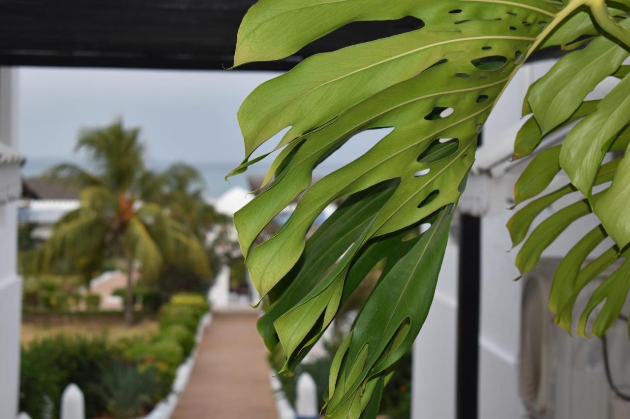 Kendwa Beach Resort Extérieur photo