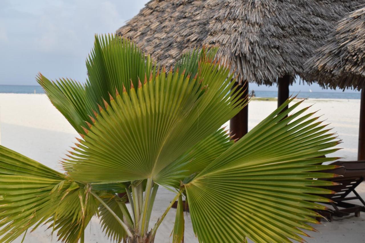 Kendwa Beach Resort Extérieur photo