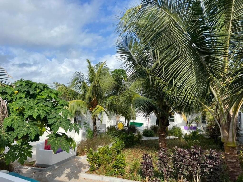Kendwa Beach Resort Extérieur photo